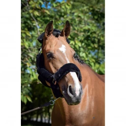 Best reviews of 🎁 French Equestrian Jump' In Soft Halter - One Collection ✨ 12 French Equestrian Jump' In Soft Halter - One Collection