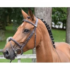 French Equestrian English Bridles Jump'in Thursday Bridle - Week Collection