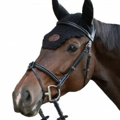 French Equestrian Jump'in Tuesday Bridle - Week Collection