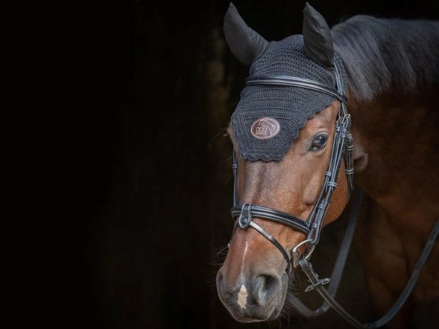 Deals ✔️ French Equestrian Jump'in Tuesday Bridle - Week Collection 🔔 4 French Equestrian Jump'in Tuesday Bridle - Week Collection