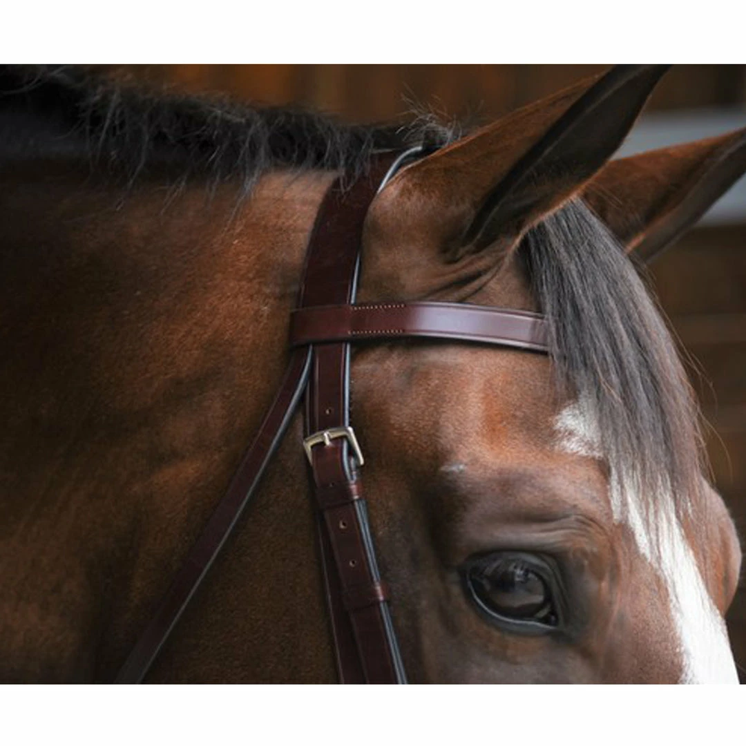 Discount 🎁 English Bridles Black Oak By KL Select Foxtrot Hunt Bridle 🥰 6 English Bridles Black Oak By KL Select Foxtrot Hunt Bridle
