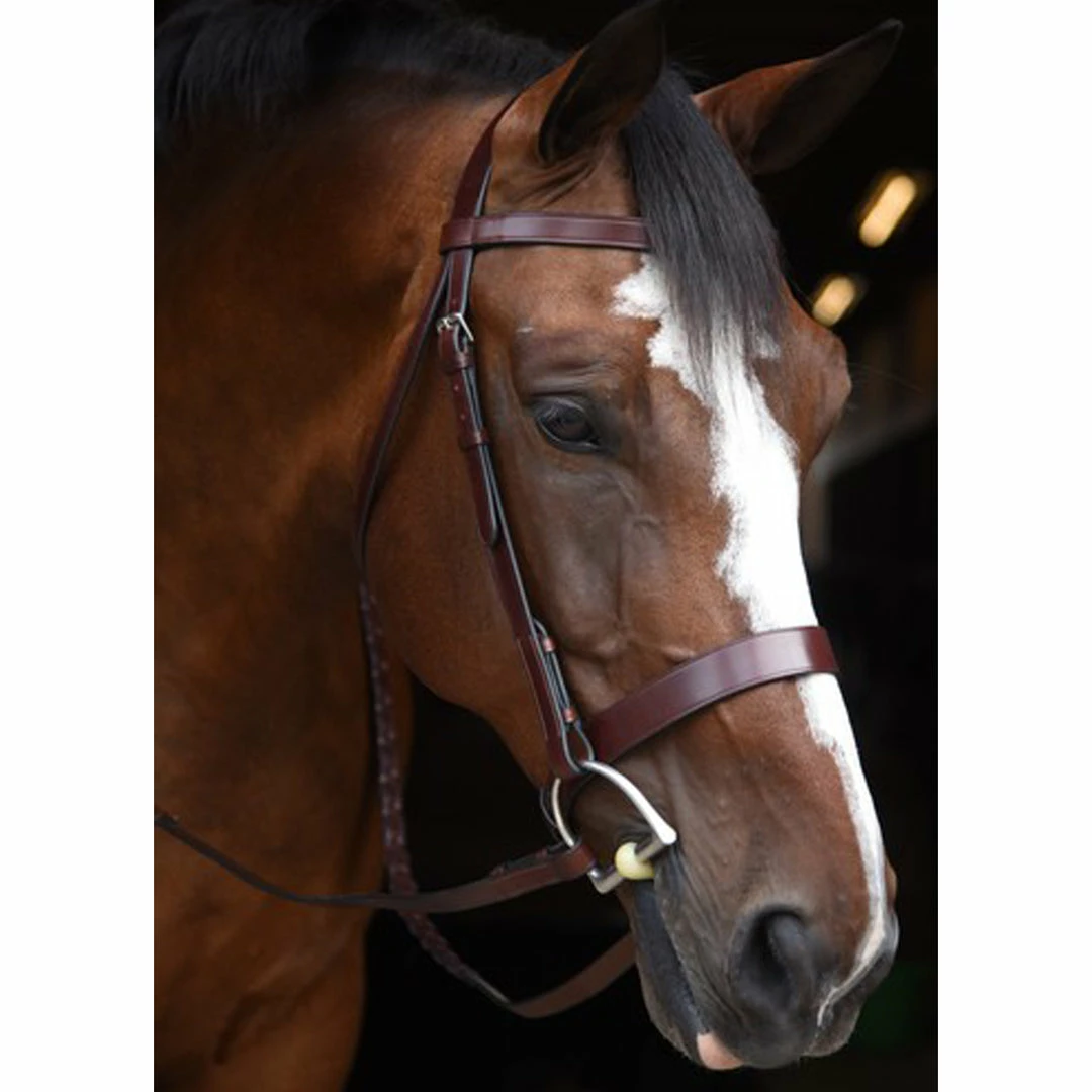Discount 🎁 English Bridles Black Oak By KL Select Foxtrot Hunt Bridle 🥰 4 English Bridles Black Oak By KL Select Foxtrot Hunt Bridle