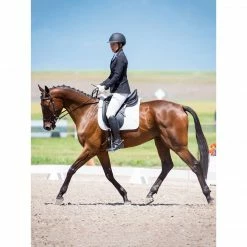 Promo 🛒 Kerrits 👩 Women's Crossover II Full Seat Breech 🎉 42 Kerrits Women's Crossover II Full Seat Breech