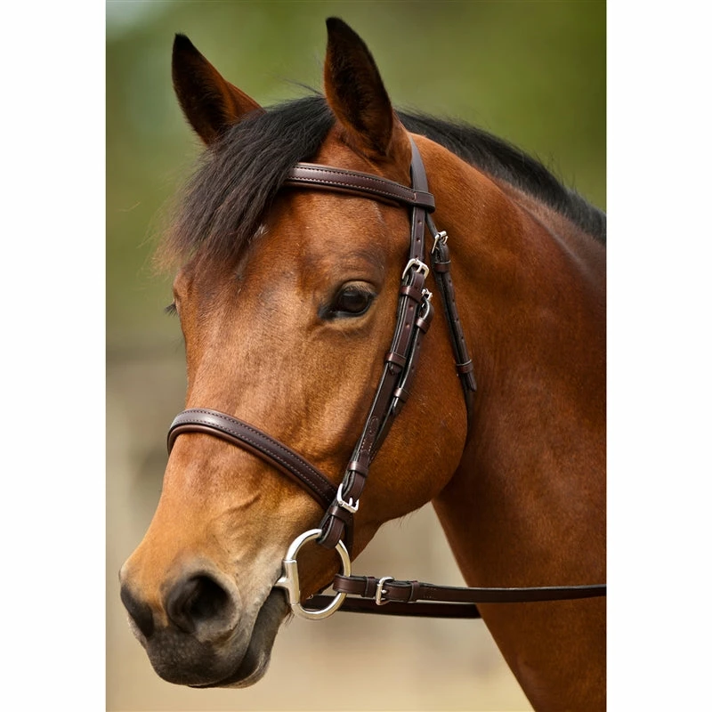 Coupon 🔔 Nunn Finer Event Bridle 🎁 3 Nunn Finer Event Bridle