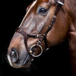 Best reviews of 🎉 PS Of Sweden Nirak Bridle ❤️ 9 PS Of Sweden Nirak Bridle