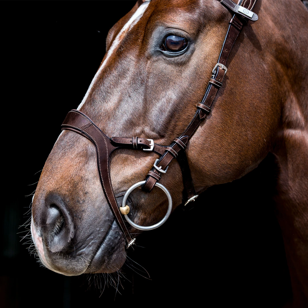 Best reviews of 🎉 PS Of Sweden Nirak Bridle ❤️ 6 PS Of Sweden Nirak Bridle