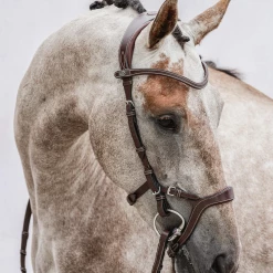 PS Of Sweden Nirak Bridle