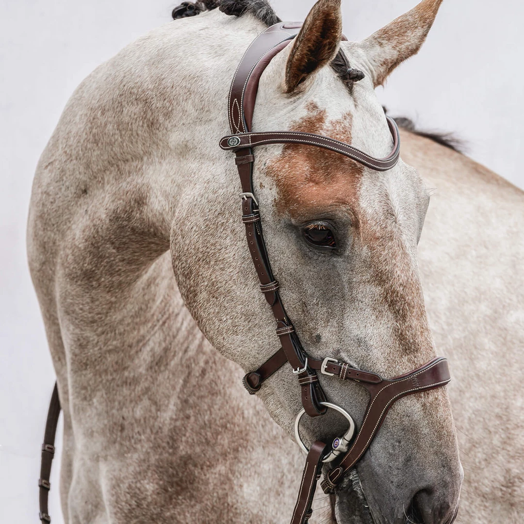Best reviews of 🎉 PS Of Sweden Nirak Bridle ❤️ 4 PS Of Sweden Nirak Bridle
