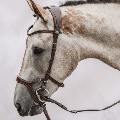 Best reviews of 🎉 PS Of Sweden Nirak Bridle ❤️ 8 PS Of Sweden Nirak Bridle