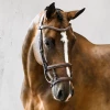 English Bridles PS Of Sweden Paris Bridle