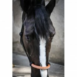 Buy ๐งจ French Equestrian Halters & Leads Penelope American Rope Halter ๐ 7 French Equestrian Halters & Leads Penelope American Rope Halter