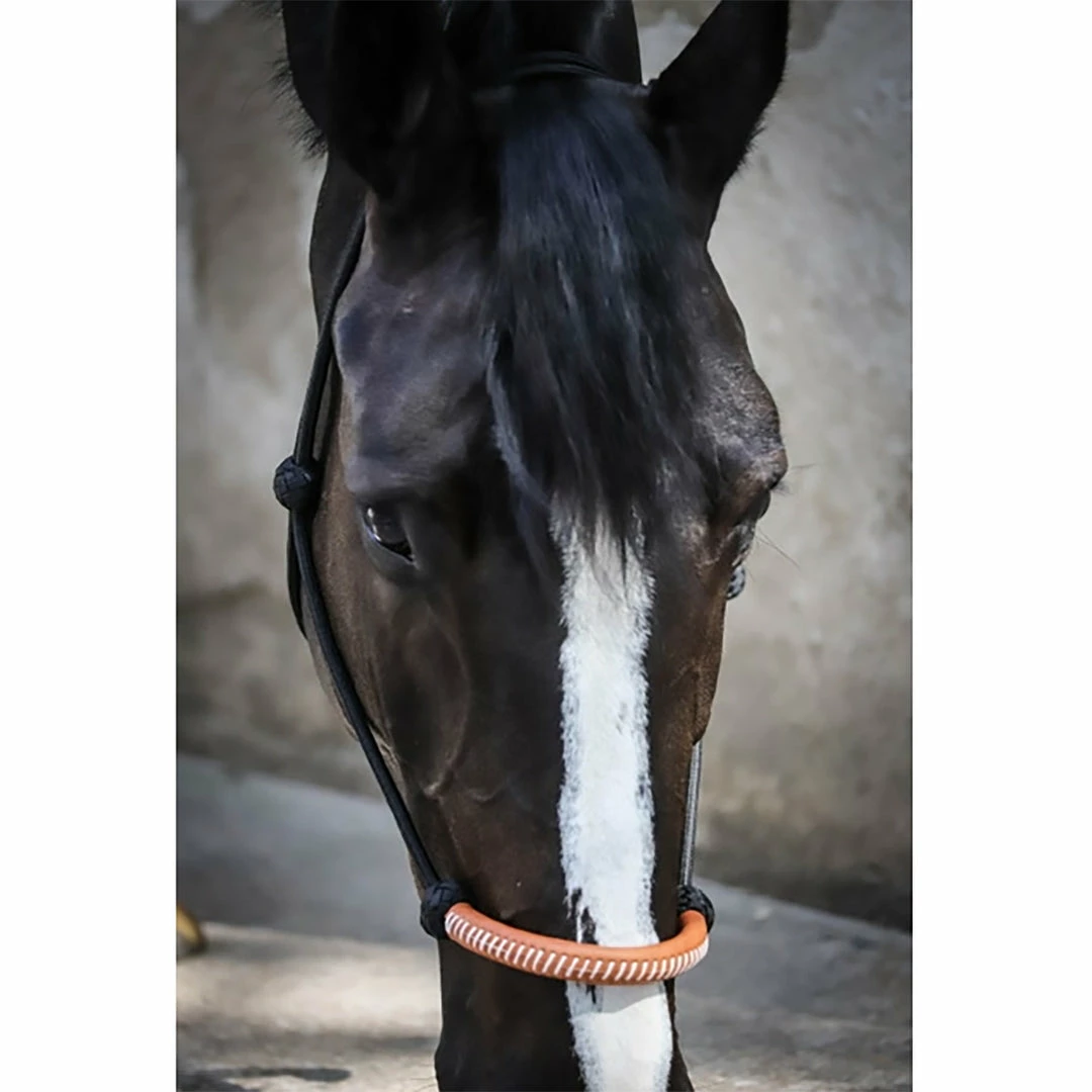 Buy ๐งจ French Equestrian Halters & Leads Penelope American Rope Halter ๐ 5 French Equestrian Halters & Leads Penelope American Rope Halter