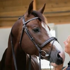 Cheapest 🎁 French Equestrian Penelope Daily Bridle ⭐ 9 French Equestrian Penelope Daily Bridle