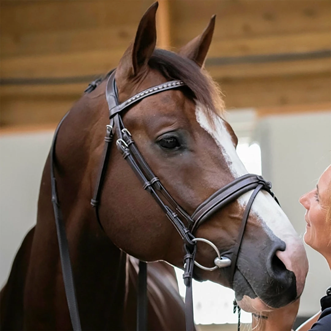 Cheapest 🎁 French Equestrian Penelope Daily Bridle ⭐ 6 French Equestrian Penelope Daily Bridle