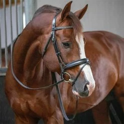 French Equestrian Penelope Daily Bridle