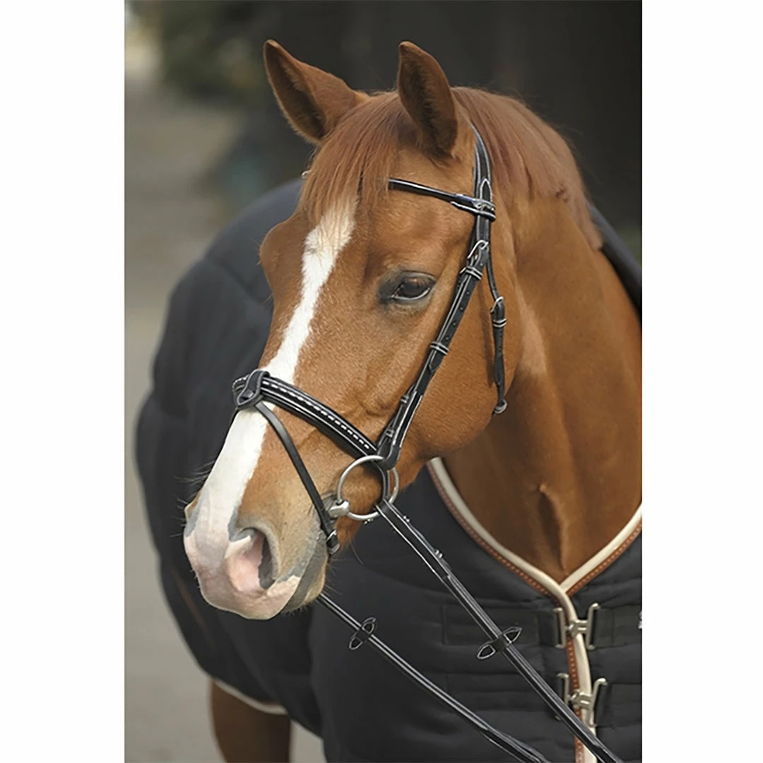 Brand new 😍 French Equestrian English Bridles Penelope Point Sellier Bridle ⌛ 4 French Equestrian English Bridles Penelope Point Sellier Bridle