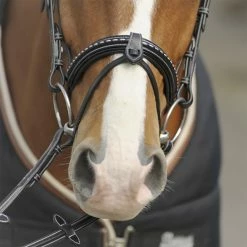 Brand new 😍 French Equestrian English Bridles Penelope Point Sellier Bridle ⌛ 10 French Equestrian English Bridles Penelope Point Sellier Bridle