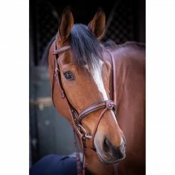 French Equestrian Penelope US Bridle