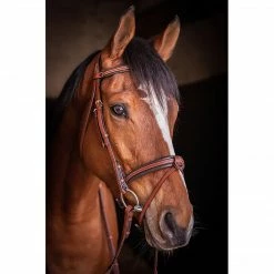 French Equestrian Penelope US Bridle
