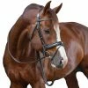 Cheapest 🎁 French Equestrian Penelope Daily Bridle ⭐ 1 French Equestrian Penelope Daily Bridle