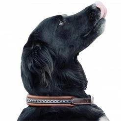 Budget ๐ฏ French Equestrian Penelope ๐ Dog Collar Horse Blankets & Stable Sheets ๐งจ 15 French Equestrian Penelope Dog Collar Horse Blankets & Stable Sheets