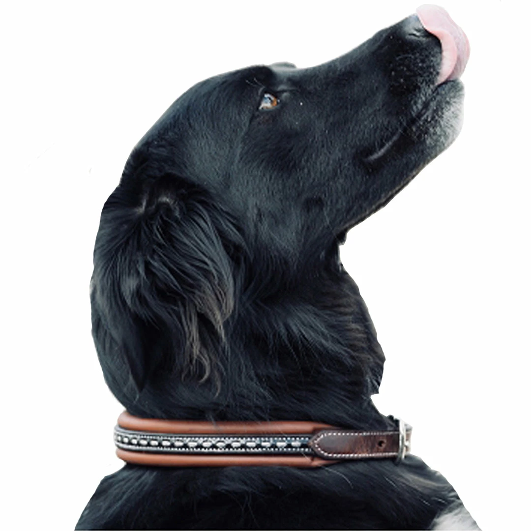 Budget ๐ฏ French Equestrian Penelope ๐ Dog Collar Horse Blankets & Stable Sheets ๐งจ 8 French Equestrian Penelope Dog Collar Horse Blankets & Stable Sheets