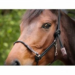 Coupon 🔔 French Equestrian Penelope Ethological Halter Halters & Leads ✨ 9 French Equestrian Penelope Ethological Halter Halters & Leads