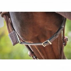 Coupon 🔔 French Equestrian Penelope Ethological Halter Halters & Leads ✨ 11 French Equestrian Penelope Ethological Halter Halters & Leads