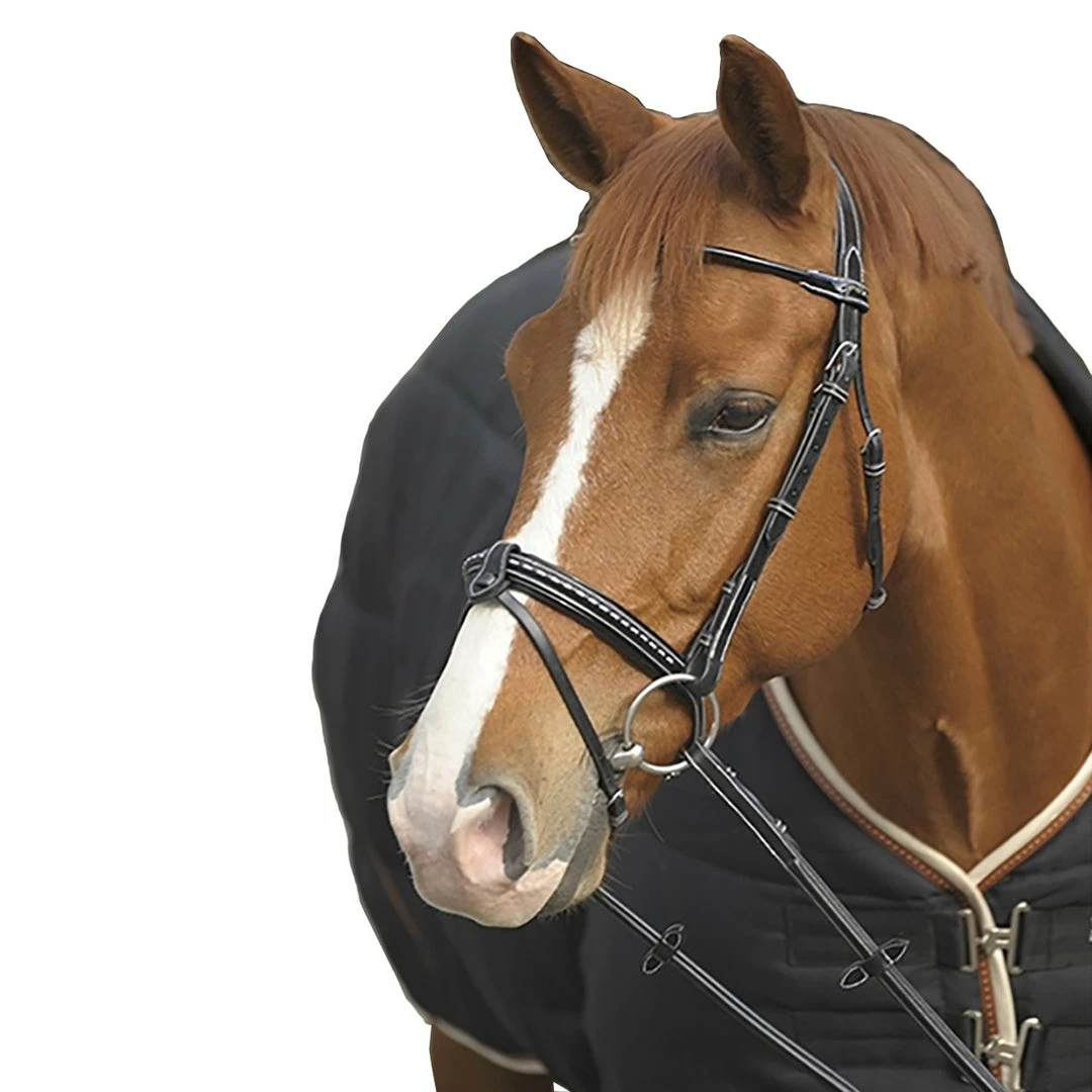 Brand new 😍 French Equestrian English Bridles Penelope Point Sellier Bridle ⌛ 3 French Equestrian English Bridles Penelope Point Sellier Bridle