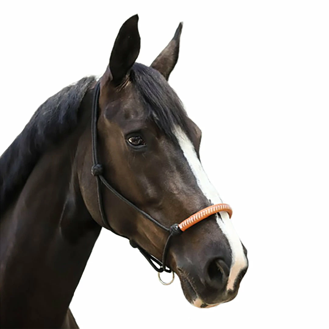 Buy ๐งจ French Equestrian Halters & Leads Penelope American Rope Halter ๐ 3 French Equestrian Halters & Leads Penelope American Rope Halter