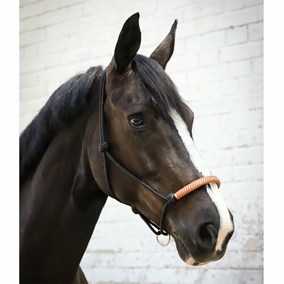 Buy ๐งจ French Equestrian Halters & Leads Penelope American Rope Halter ๐ 4 French Equestrian Halters & Leads Penelope American Rope Halter