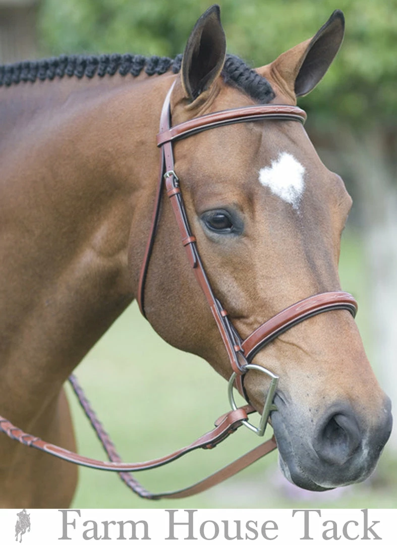 Best Pirce 🌟 English Riding Supply Pessoa Fancy Wide Noseband Show Bridle W/ Fancy Stitched Laced Reins 💯 4 English Riding Supply Pessoa Fancy Wide Noseband Show Bridle W/ Fancy Stitched Laced Reins