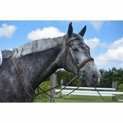 Renaissance By Prestige Hunter Standing Martingale