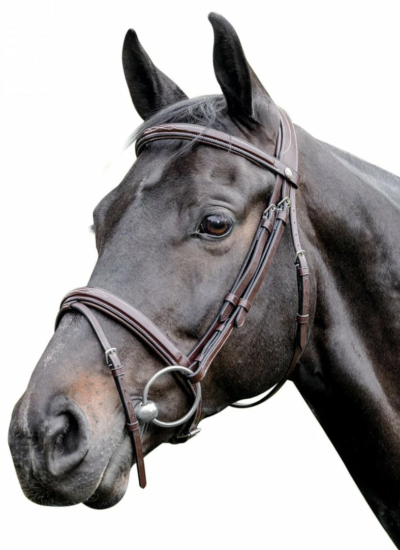 Best Sale π Prestige 3E083 Raised Bridle With Stitching English Bridles π 3 Prestige 3E083 Raised Bridle With Stitching English Bridles