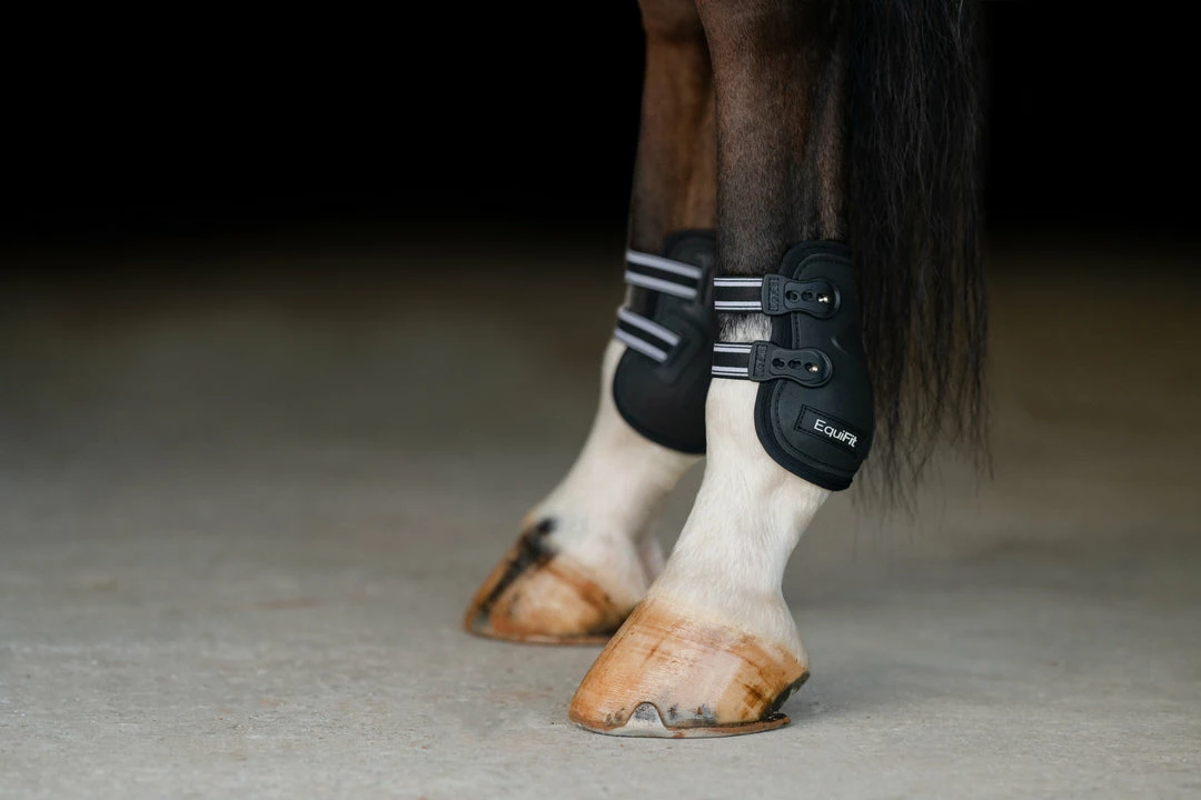Budget ❤️ Equifit Prolete Hind Boot With Elastic Straps Horse 🥾 Boots & Wraps 👍 4 Equifit Prolete Hind Boot With Elastic Straps Horse Boots & Wraps
