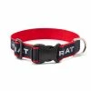 Ariat Dog Collar