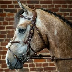 Sagmae English Bridles Dyon Fancy Figure 8 Bridle - D Collection