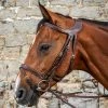 Cheapest 😉 Sagmae Dyon Difference Flash Bridle - D Collection ❤️ 2 Sagmae Dyon Difference Flash Bridle - D Collection