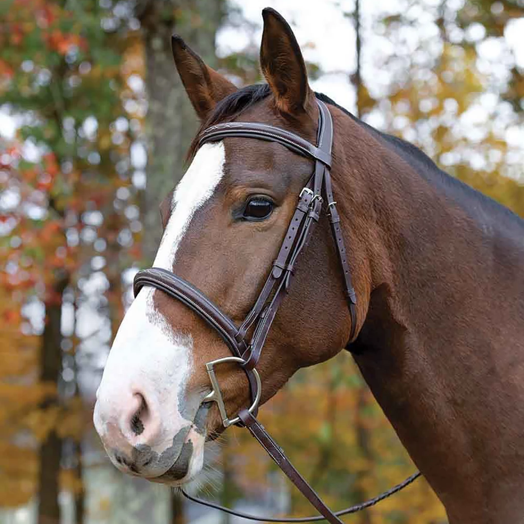 Outlet ⌛ Shires Equestrian Products Avignon Ocala Bridle 🔔 3 Shires Equestrian Products Avignon Ocala Bridle