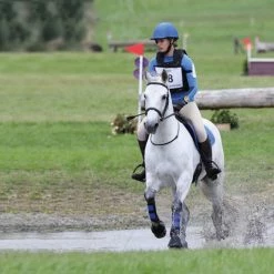 Shires Equestrian Products Horse Boots & Wraps Arma Neoprene Brushing Boots