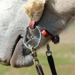 Toklat Originals Myler Beta Curb Strap Kit