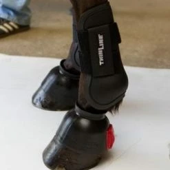Flash Sale 🔔 ThinLine Open Front Tendon Schooling Horse Boot 🤩 9 ThinLine Open Front Tendon Schooling Horse Boot