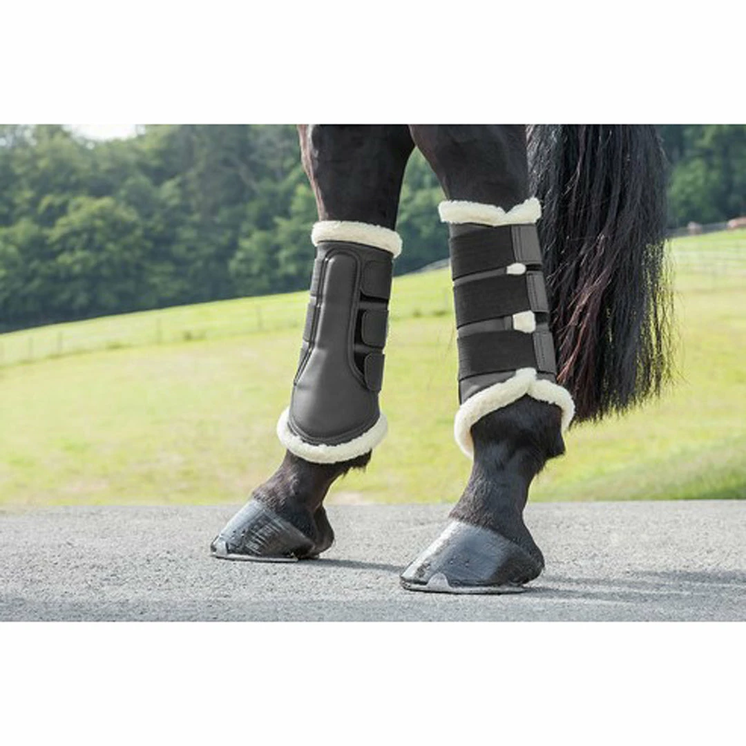Best reviews of ๐งจ KL Select USG ๐ Dressage ๐ฅพ Boots Horse ๐ฅพ Boots & Wraps ๐คฉ 4 KL Select USG Dressage Boots Horse Boots & Wraps