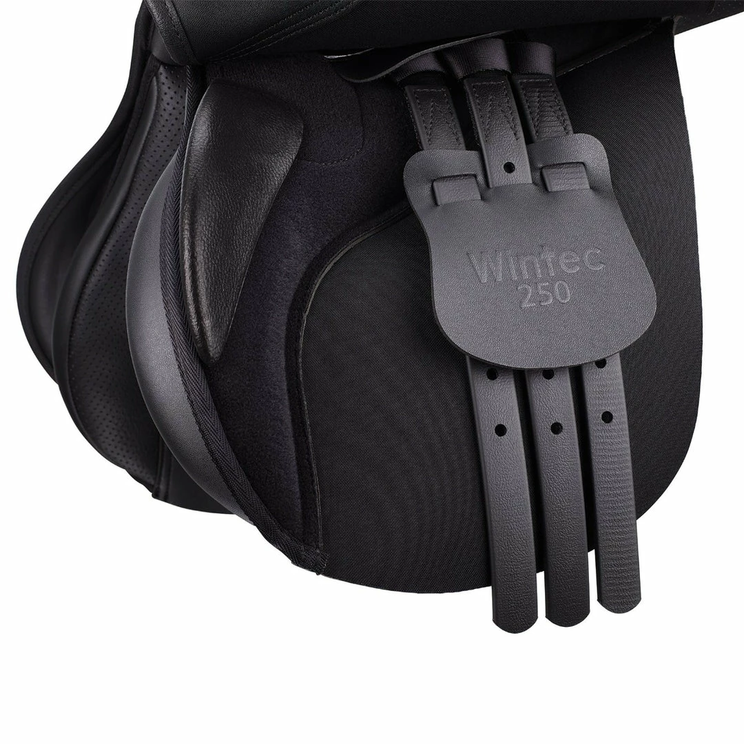 Top 10 😀 Saddlery Brands International Wintec 250 All Purpose Saddle 😀 5 Saddlery Brands International Wintec 250 All Purpose Saddle