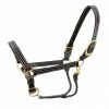 Halters & Leads Walsh Kentucky Halter