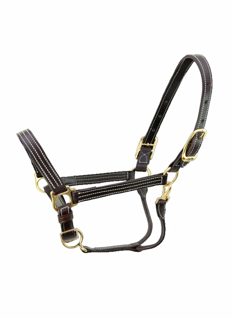 Budget 😍 Halters & Leads Walsh Kentucky Halter ✨ 3 Halters & Leads Walsh Kentucky Halter