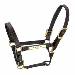 Budget 😍 Halters & Leads Walsh Kentucky Halter ✨ 8 Halters & Leads Walsh Kentucky Halter