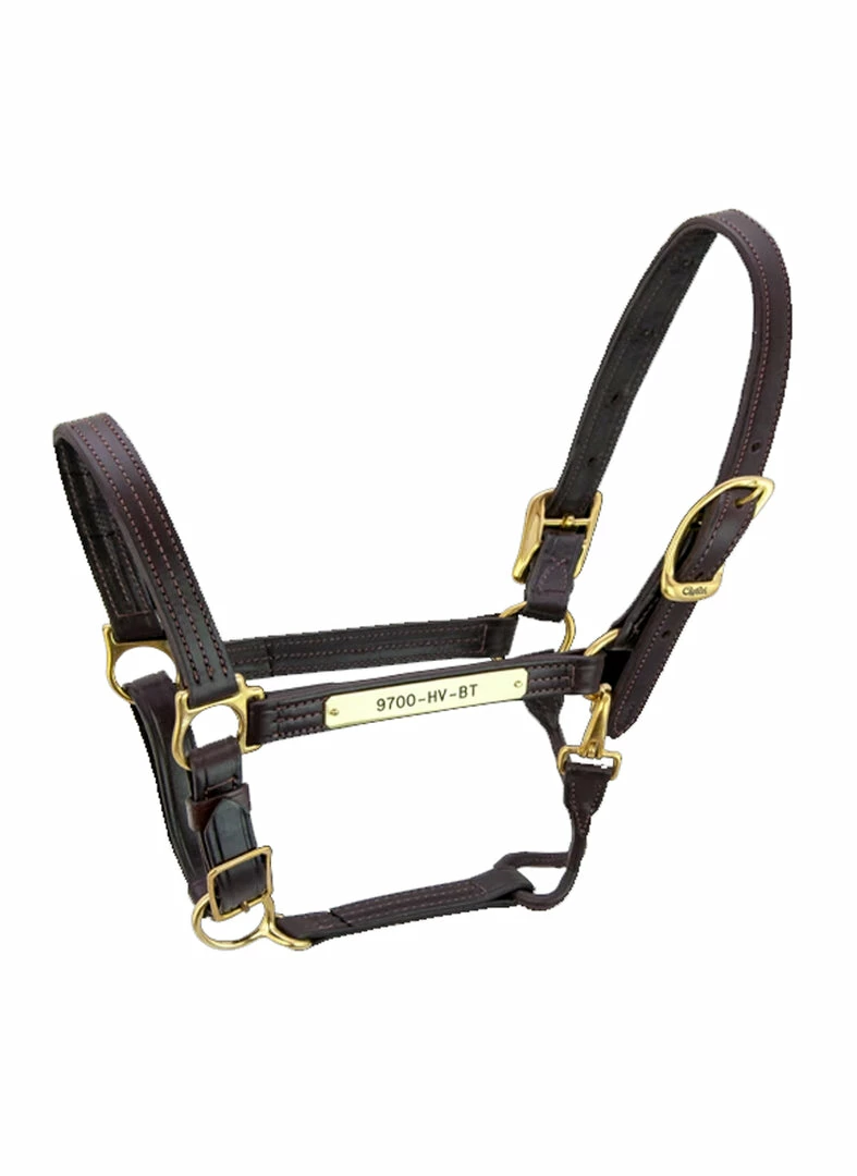 Budget 😍 Halters & Leads Walsh Kentucky Halter ✨ 5 Halters & Leads Walsh Kentucky Halter