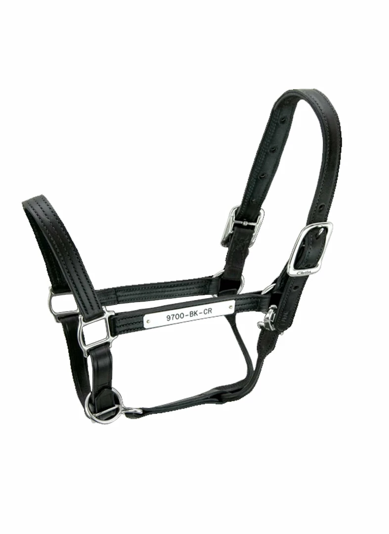 Budget 😍 Halters & Leads Walsh Kentucky Halter ✨ 4 Halters & Leads Walsh Kentucky Halter