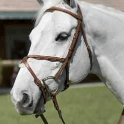 English Riding Supply English Bridles Pessoa Legacy Padded Jumper Bridle W/Reins